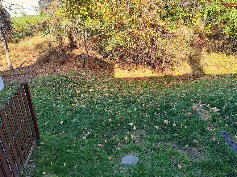 442 Darby Ln — Photo 36