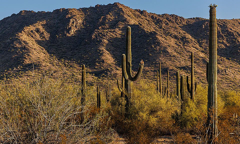 Ladera Trails Landscape 7 1024x576