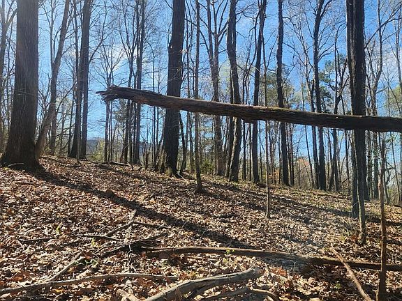 4th image of 0F Graham Cir