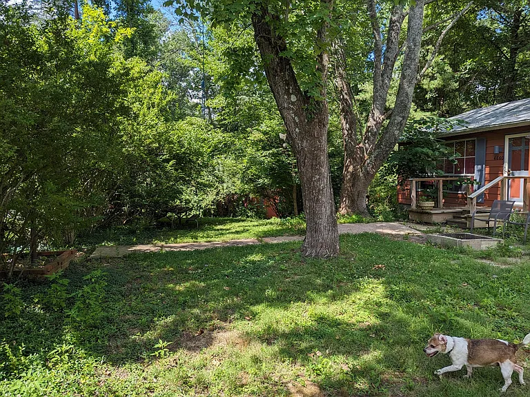 Front yard, protected in privacy by shrub line, lots of plants and garden beds ready for inspiration