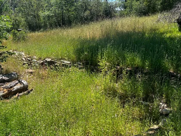 9561 Mountain Ranch Rd, Mountain Ranch, CA 95246