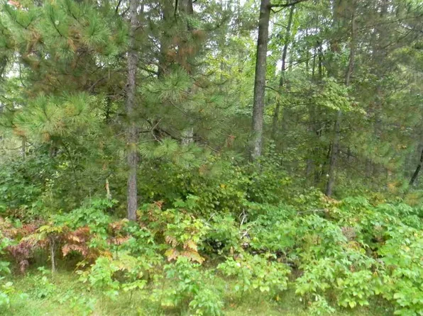 Menominee Woods Dr #66, Wausaukee, WI 54177