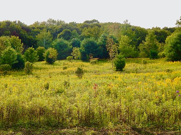2nd image of 909 County Highway 49