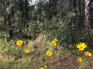 Lots 13&14 Canine St, Interlachen, FL 32148