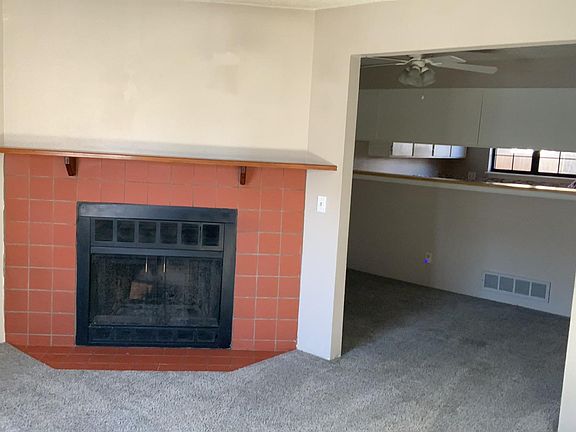 Wood Burning Fireplace