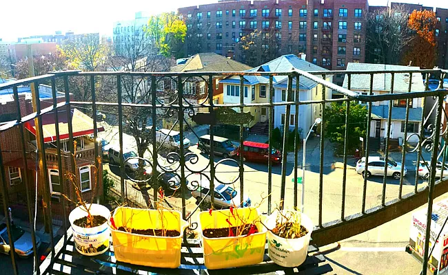 Rented by Brooklyn Vertical Inc. | media 14