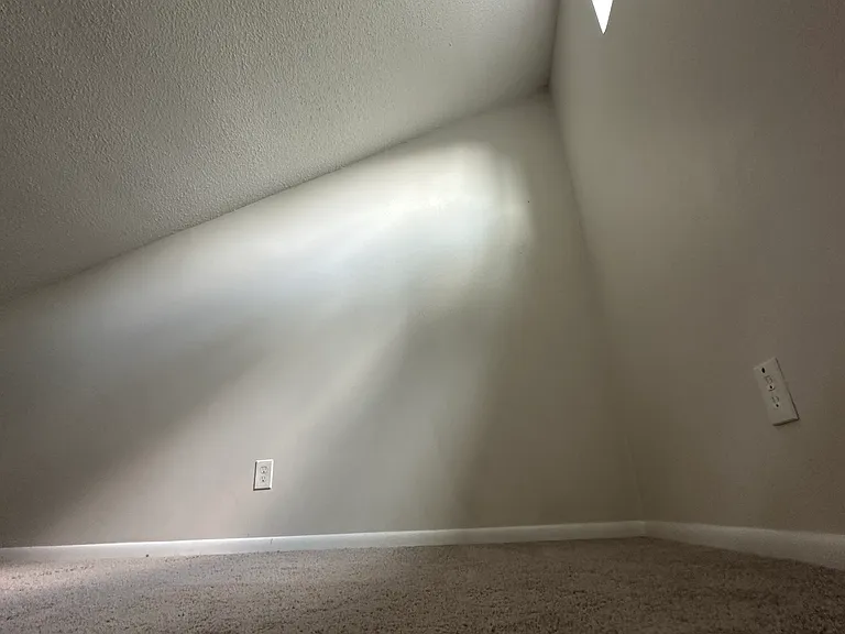331 Sunflower Ct — Photo 26