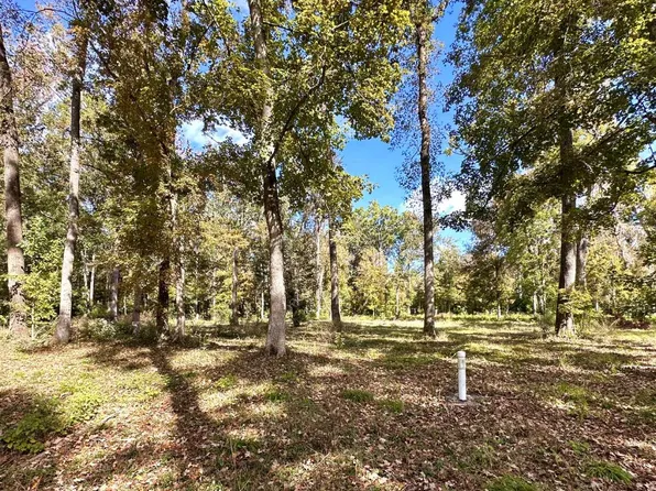 SW Boston Ter, Fort White, FL 32038