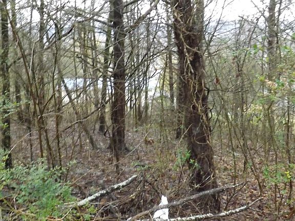 3rd image of Cumberland Dr