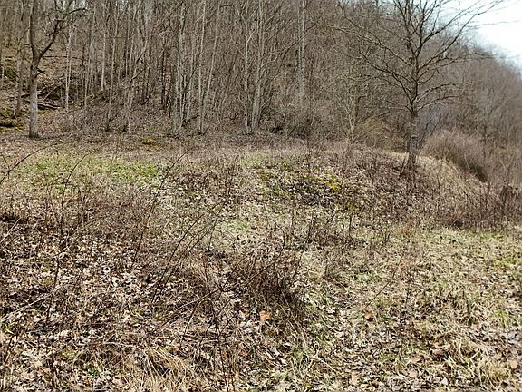 3rd image of 0 Darby Branch Rd