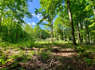 4345 Webster Rd, Elmira, MI 49730