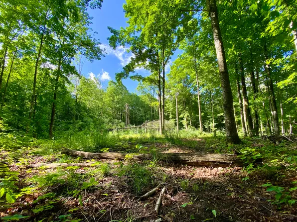 4345 Webster Rd, Elmira, MI 49730