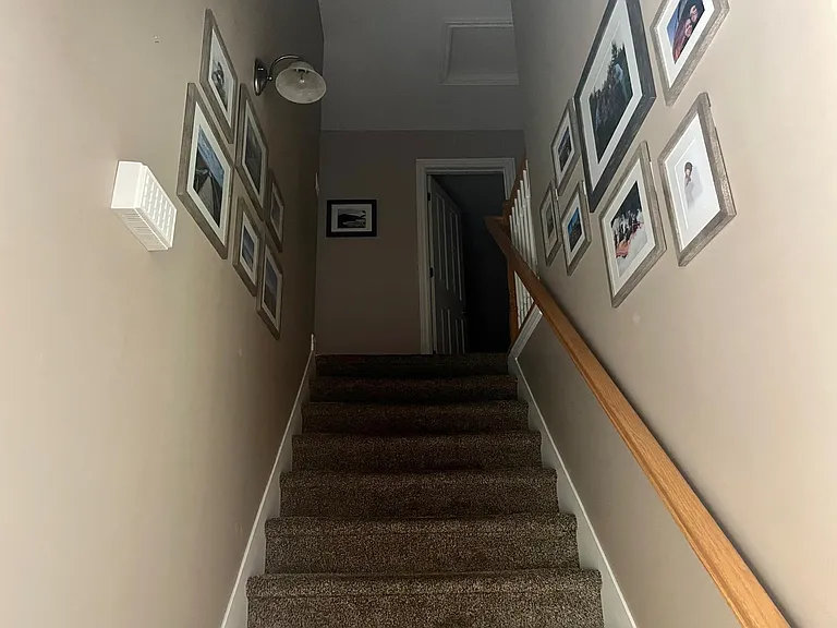 561 E Purple Lilac Ln — Photo 11
