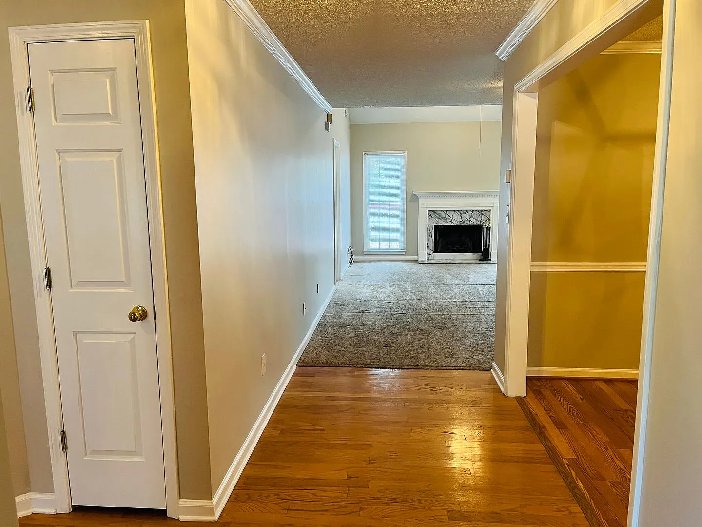 Prime Fayetteville location, 4 bed/3 full baths, close to movie studio, Senoia/PTC, lawn care inc... — Photo 4