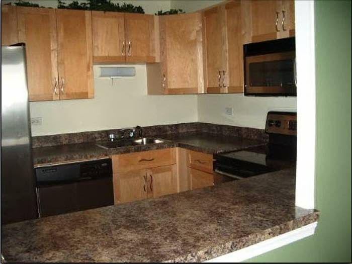 1st image of 1560 N Sandburg Ter APT 1912J