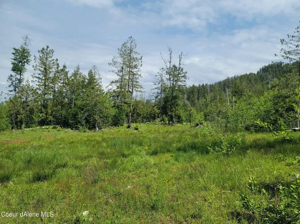 Nna Grouse Mountain Trl, Sagle, ID 83860