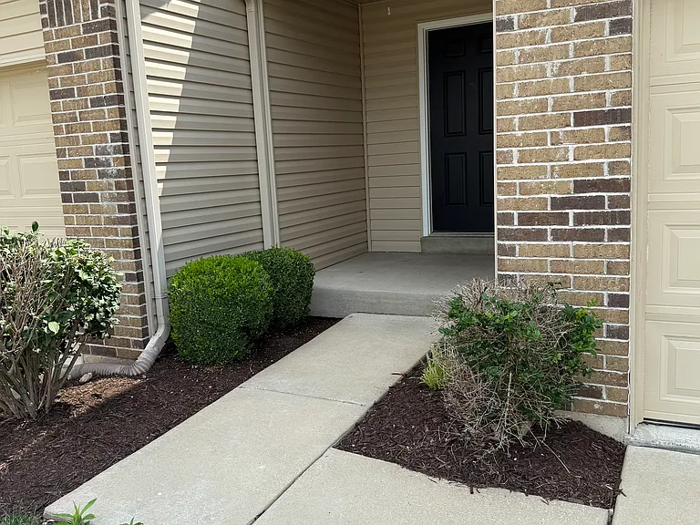 2147 Orchid Blossom Ct — Photo 2