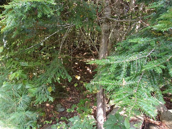 5th image of Fenn Way Circle #29