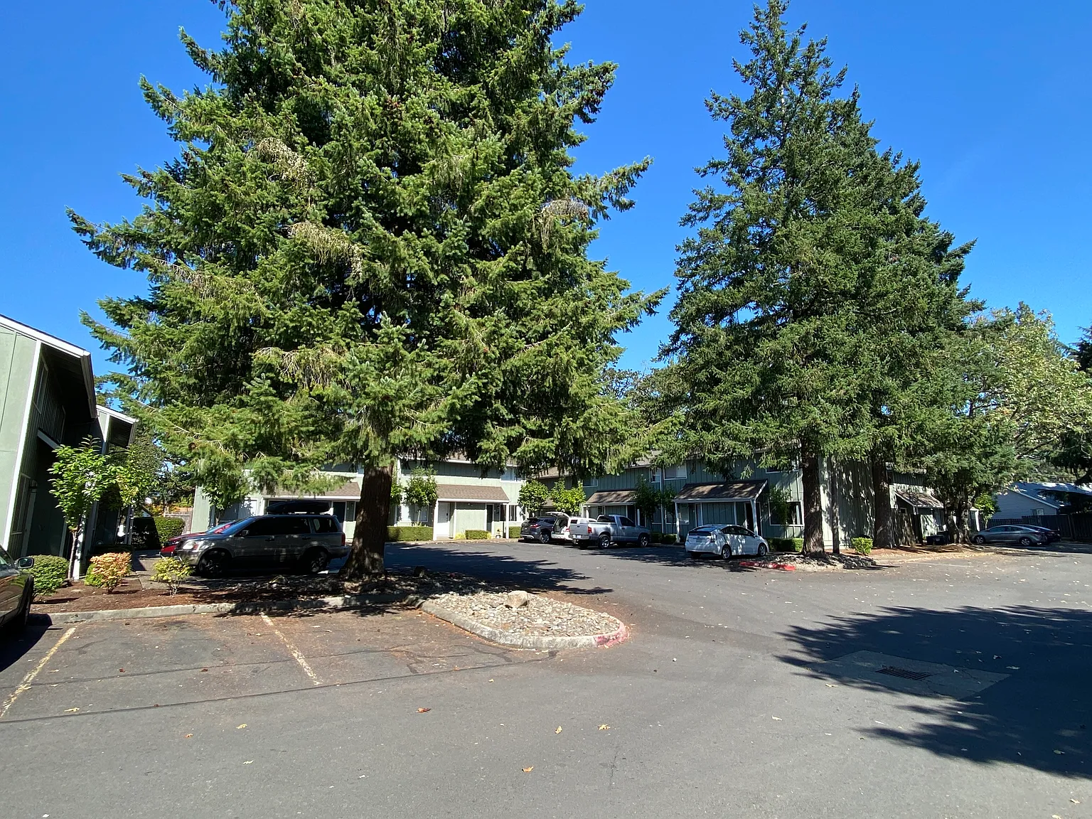 The Oaks — Photo 2