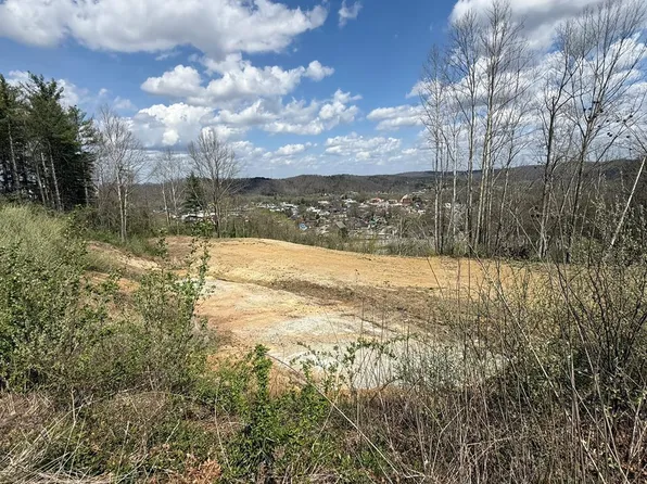 0 Tower Hill Rd, Louisa, KY 41230