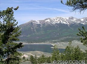 6435 E State Highway 82, Twin Lakes, CO 81251 | Zillow