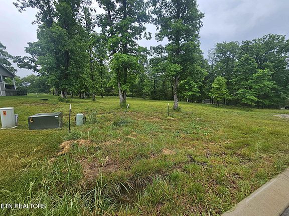 5th image of Holly Tree Dr