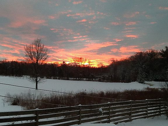 Rear yard with sunset