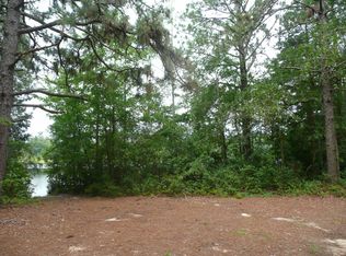 Pelion Rd, Pelion, SC 29123