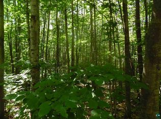 0 Old Highway 13, Pt Wing, WI 54865