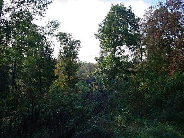 2nd image of 2331 Horseleg Creek Rd SW