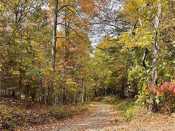 4th image of 0 Cutoff Rd