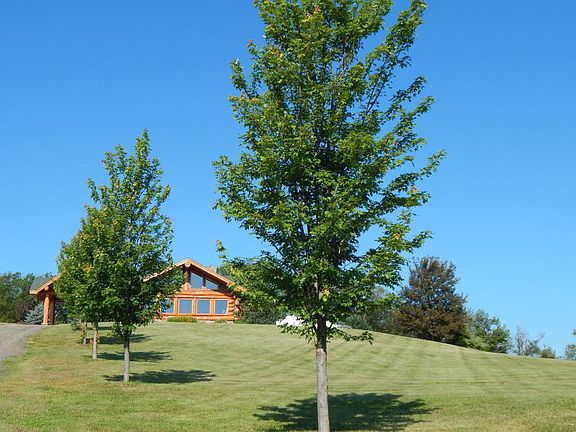 Beauty surrounds as you drive to the entrance of this home.