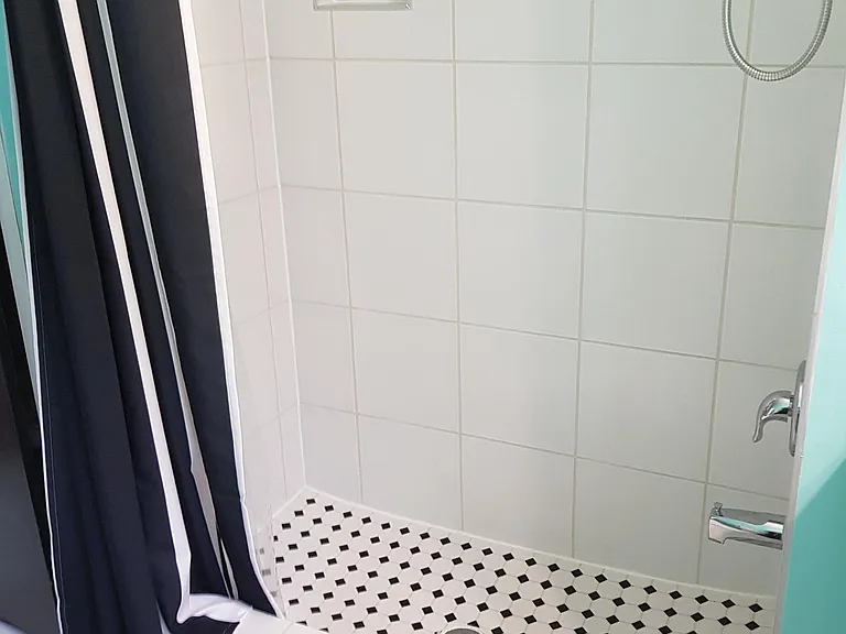Guest Bathroom Shower1