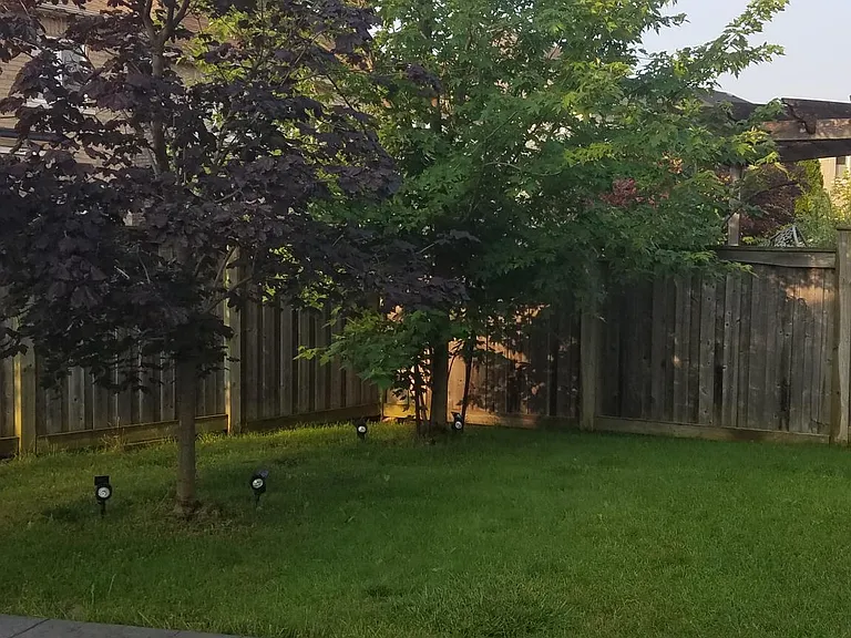 This is another view of the backyard. Full access to backyard and patio to potential tenants.