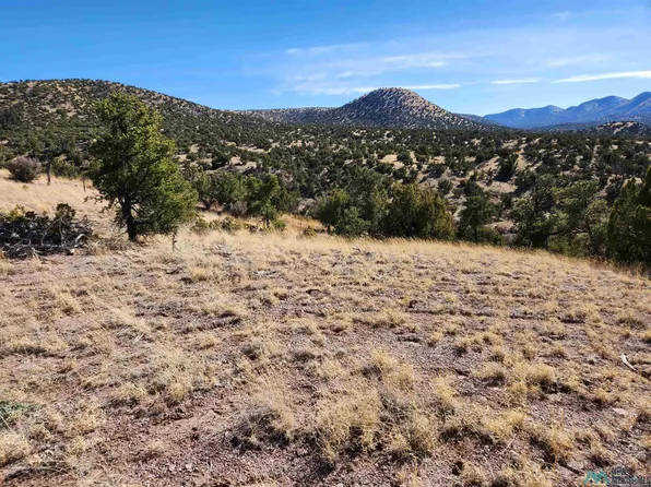 0 Highway 169, Magdalena, NM 87825