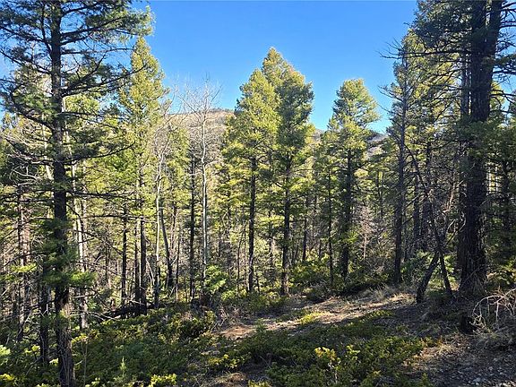 4th image of Lot 6034 Wood Road