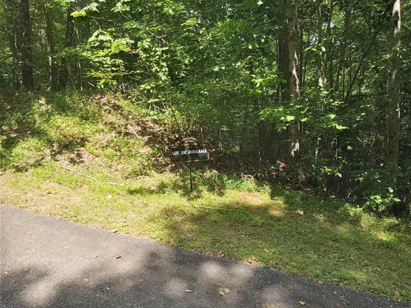 38C Ashe Branch Circle, Hayesville, NC 28904