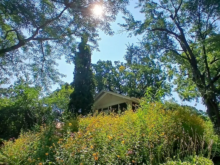 621 Cedar St — Photo 8