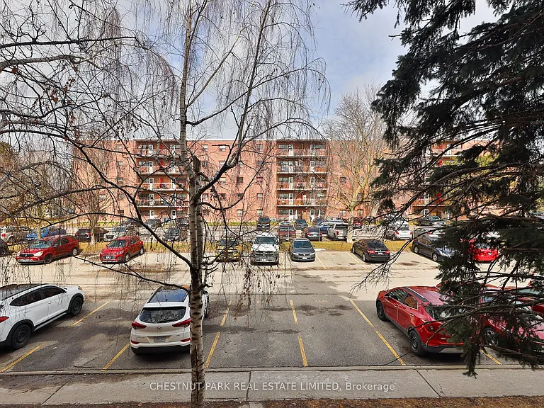 900 Glen St #215 — Photo 36