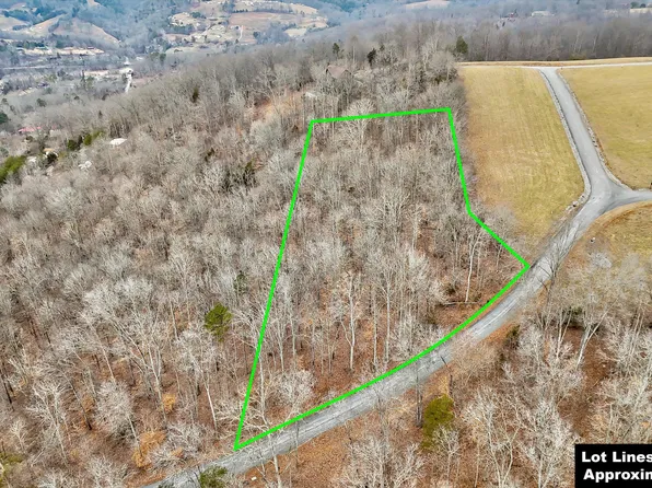 LOT 306 Sapphire Ct, New Tazewell, TN 37825
