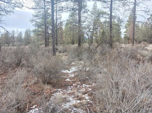 11 Moccasin Ln, Chiloquin, OR 97624