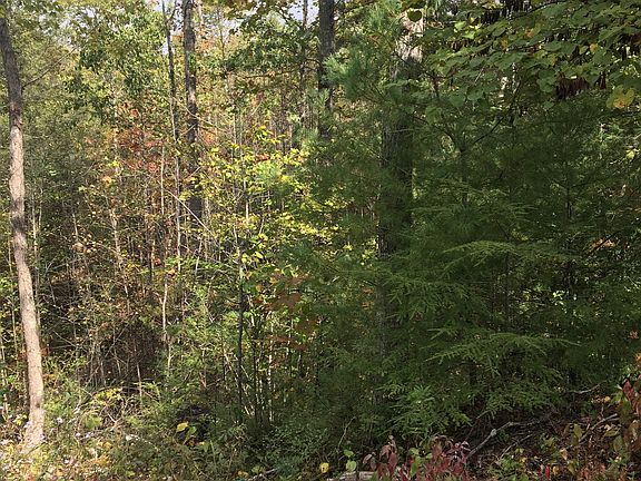 5th image of James Pt #8-14