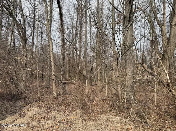 6577 Minnick Elbridge Rd, Obion, TN 38240