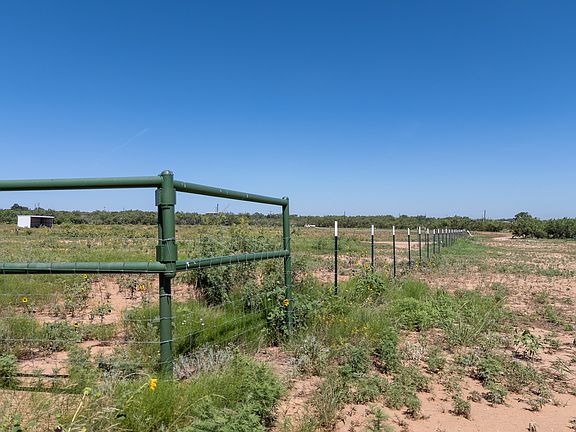 5th image of 439 County Road 321