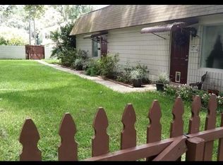 18717 Hamilton St, Lutz, FL 33549