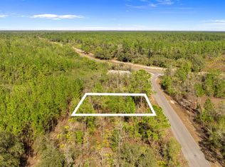 0 Situs, Ocklawaha, FL 32179