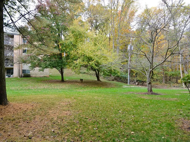 View from the back patio walkout. Perfect for pets or walking the trails.