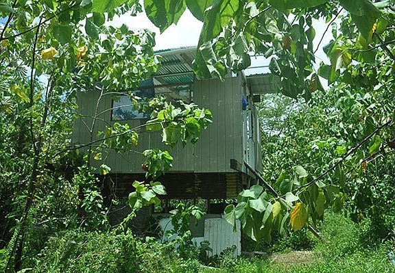 4th image of Kaimu Makena Homeste Lot D-28