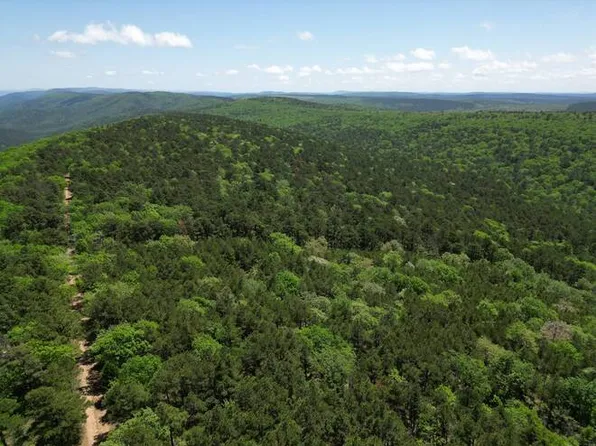 TRACT 38 Pin Oak Path, Talihina, OK 74571