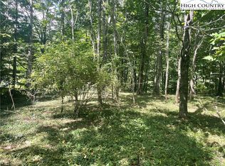 Hillside Dr W, Todd, NC 28684